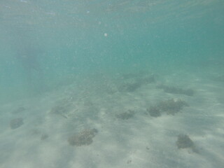 Ocean and fishes at Brazil Coast