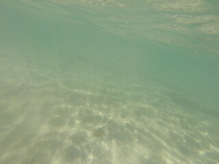 Ocean and fishes at Brazil Coast