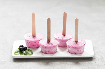Children mini black currant ice cream on a wooden stick on a ceramic plate on a light background