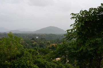 Mountainous and agricultural  landscape view in Goa during monsoon when the region is covered in greenery
