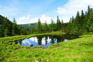 A small pond in the Eastern Alps. A natural bioreserve with frogs, newts and many other small...
