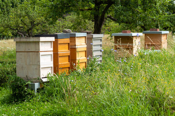 bienenstock honig bienen imker bienenvölker