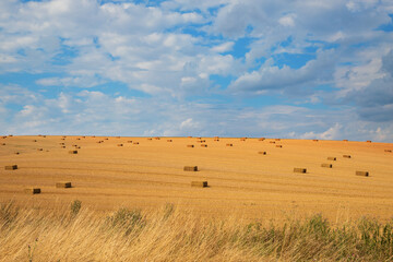 Fototapeta na wymiar Beautiful landscape near Strazovice in the Czech Republic. Harvested grain in the field. Blue sky and clouds.
