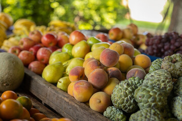 Fresh fruit in the market