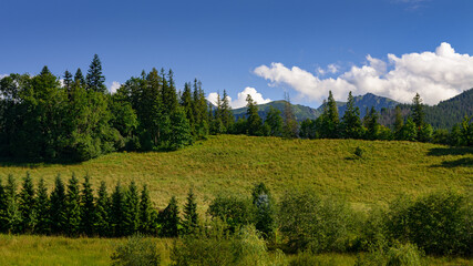 krajobraz górski w Tatrach
