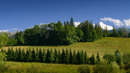 krajobraz górski w Tatrach