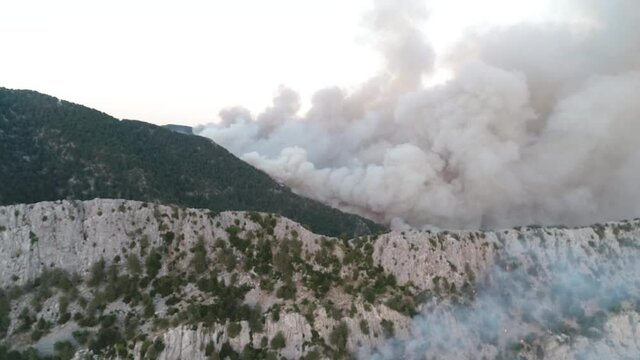 Fire Zone
