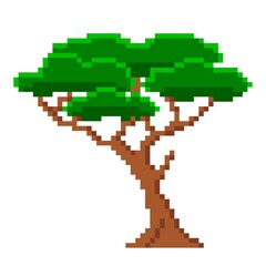 Pixelated lush old tree. Ancient african baobab with green foliage and brown trunk. Evergreen jungle vector savanna