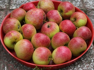Polish apples