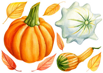 Autumn harvest, pumpkins and dry leaves on an isolated white background, watercolor illustration