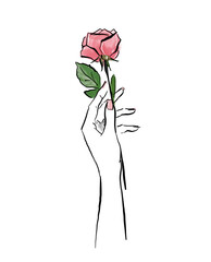 ink illustration of an elegant female hand holding a rose