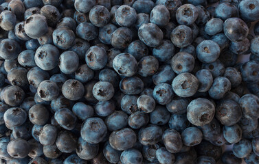 Fresh blueberry background, top view close up