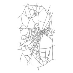 Spider web black, cartoon isolated on white background, vector illustration for design and decor, Halloween, sticker, template