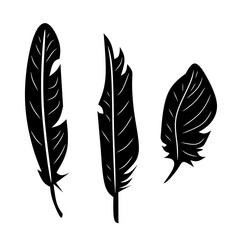 Black feathers, cartoon isolated on white background, vector illustration for design and decor, Halloween, sticker, template