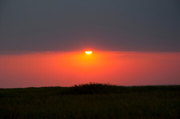 Fototapeta na wymiar early morning sunrise. sunset sky and silhouette of nature. landscape sundown. nature concept.