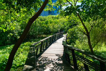 台湾台北の観光名所を巡っている風景 Scenes from a tour of tourist attractions in Taipei, Taiwan.