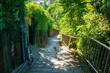 台湾の観光名所を巡っている風景 Scenes from a tour of Taiwan's tourist attractions.