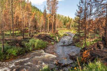 North Fork Big Thompson River
