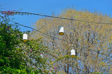 grass and flowers and lamps and tree