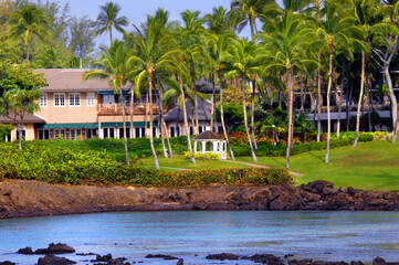 Aloha to Tranquility