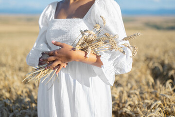 Woman in white dress stands in field with wheat. Person hold in hands bundle of ripe spikelets....