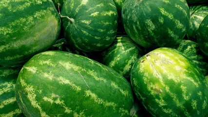 Group Of Green Watermelons. Close-up Watermelons Texture. Fresh Round Bunch Of Watermelons. Fresh Watermelons