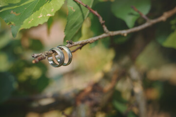 Two damask steel wedding rings hanging on a tree branch.