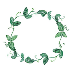Watercolor wreath green bindweed frame