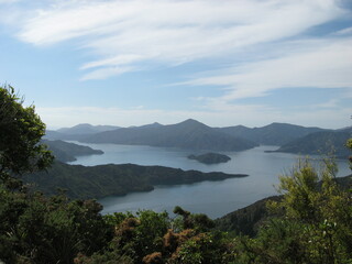 View of Marlborough Sounds while walking the Queen Charlotte Track NZ