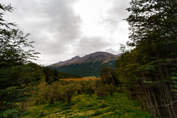 Fototapeta premium Wooded valley with hill in the background in Tierra del Fuego National Park (Ushuaia, Argentina)