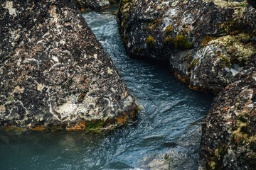 Scenic nature background of turquoise clear water stream among rocks with mosses and lichens. Atmospheric mountain landscape with mossy stones in transparent mountain creek. Beautiful mountain stream.