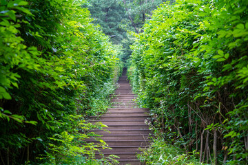 韓国のソウルの観光名所を旅行している風景 A scene from a trip to a tourist attraction in Seoul, South Korea.