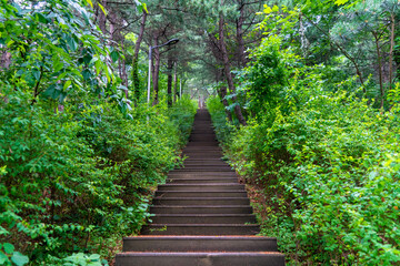 Fototapeta premium 韓国のソウルの観光名所を旅行している風景 A scene from a trip to a tourist attraction in Seoul, South Korea.