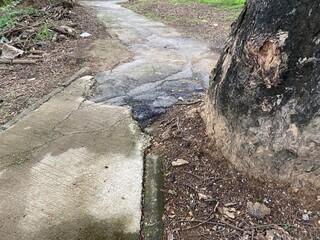 sidewalk looking like waves as the roots of a tree push them up and disturbs the sidewalk.broken concrete pathway brick surface background, close up cracked cement block texture.