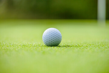 綺麗に手入れされたゴルフ場のグリーンと真っ白なゴルフボール