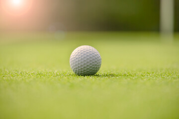 綺麗に手入れされたゴルフ場のグリーンと真っ白なゴルフボール