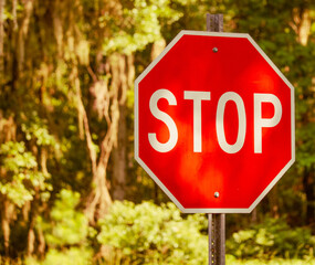 Stop Sign on Daufuskie