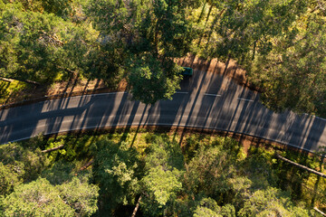 Aerial top down view of a forest road and long shadows of the trees