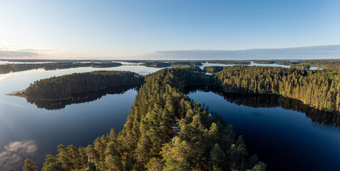 Taiga forest and lakes in the Saimaa Region in Finland - 449623450