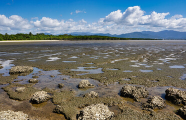 mudflats on the way to Yarrabah