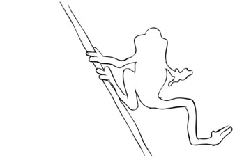 Vector Manual Sketch of Frog, view from top
