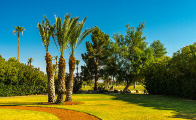 Scenery in Anza Borrego Desert State Park Area, California