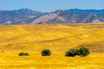 Scenery in Anza Borrego Desert State Park Area, California