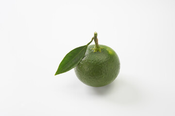 まだ熟していない日本のみかんを白背景で