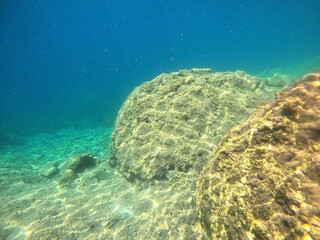 Underwater world of Mediterranean Sea. Near Marmaris, Turkey