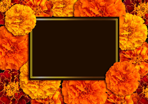 Frame and marigold flower. Сard for day of the dead
