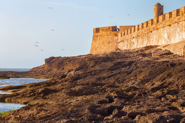 Fototapeta na wymiar View of the historical walls of the Essaouira fortress and volcanic shore of the Atlantic Ocean in Morocco on a summer evening on the low tide time.