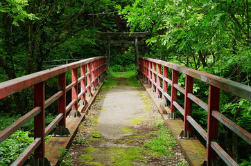 赤い橋と鳥居