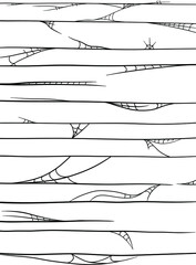 Spider web pinstripes vector illustration