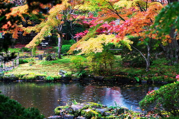 日本庭園に訪れた秋